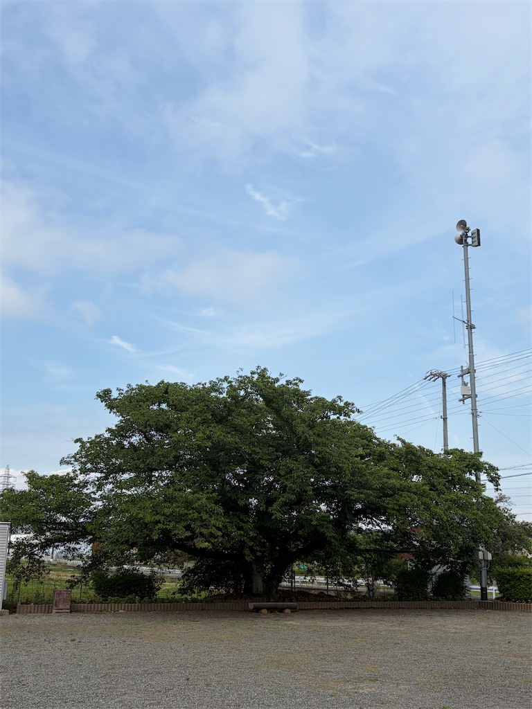 f:id:SHIMOTAYA:20260606181801j:image