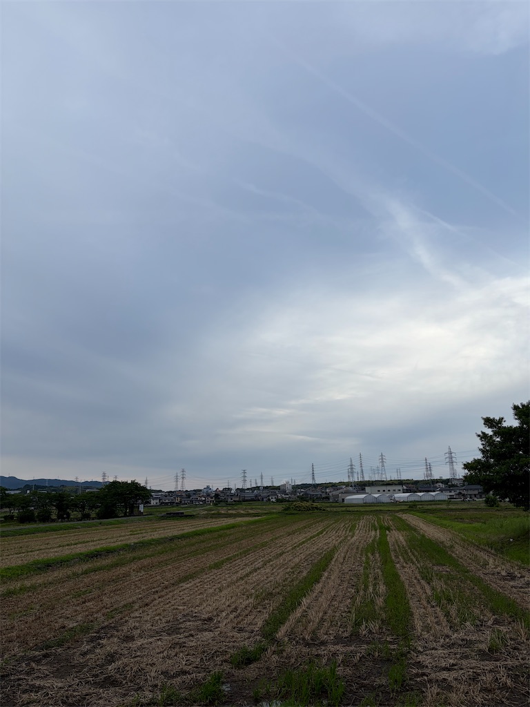 f:id:SHIMOTAYA:20260609183955j:image