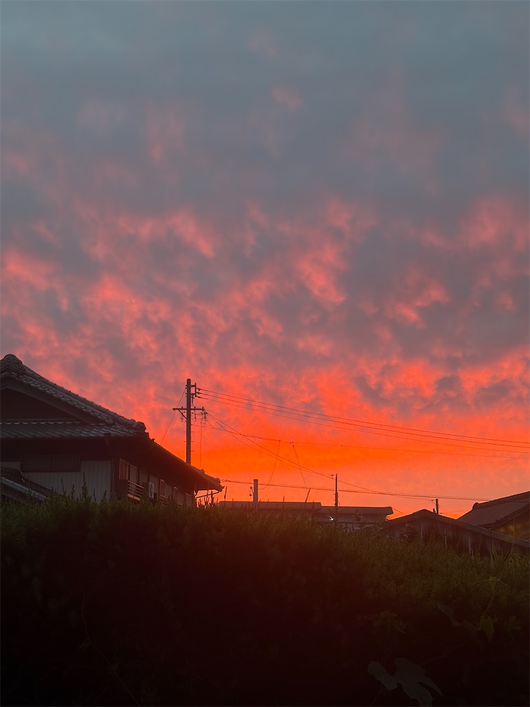 f:id:SHIMOTAYA:20260609193700j:image