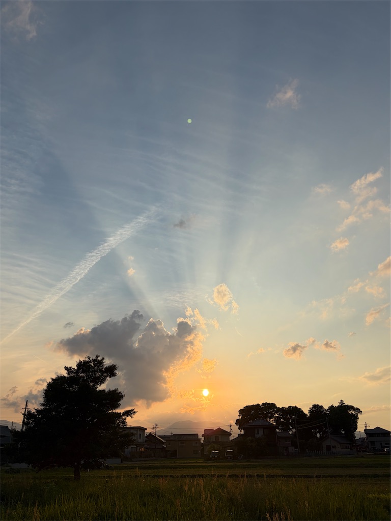 f:id:SHIMOTAYA:20260612194525j:image
