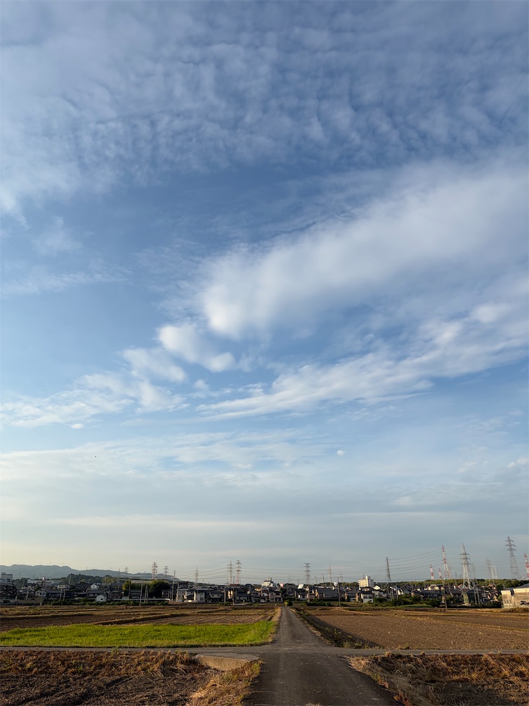 f:id:SHIMOTAYA:20260619185041j:image