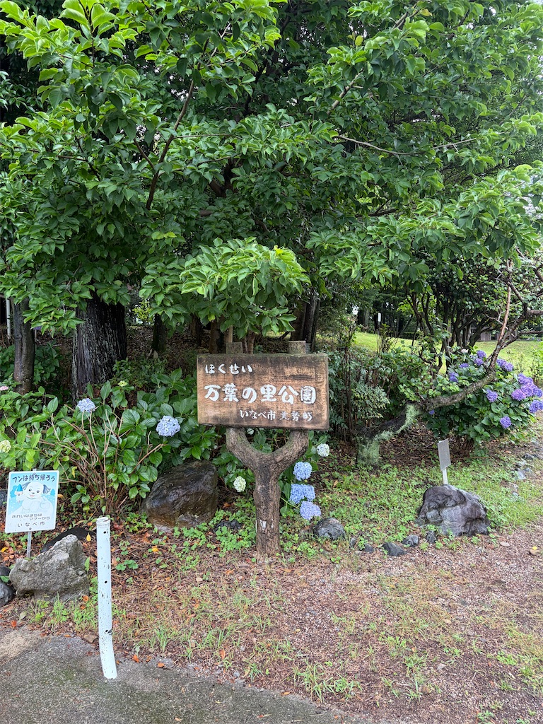 f:id:SHIMOTAYA:20260621172300j:image