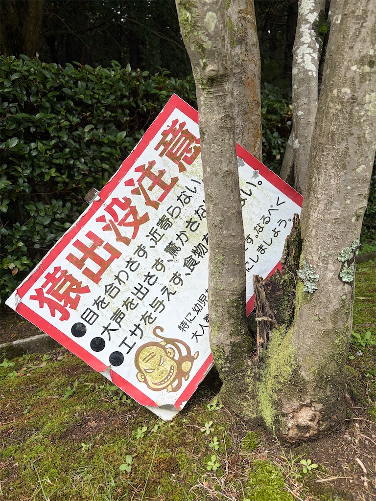 f:id:SHIMOTAYA:20260621175538j:image