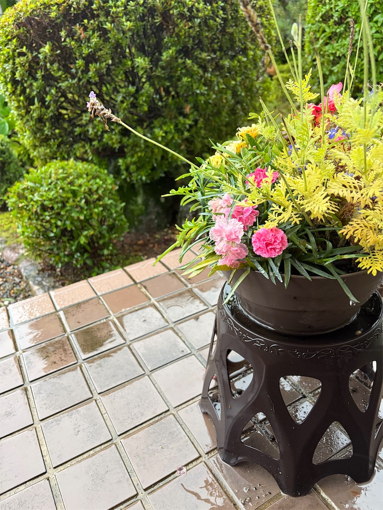 f:id:SHIMOTAYA:20260626181058j:image f:id:SHIMOTAYA:20260626181058j:image