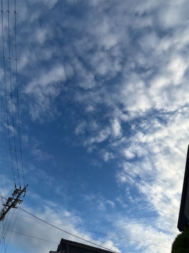 f:id:SHIMOTAYA:20260627195522j:image
