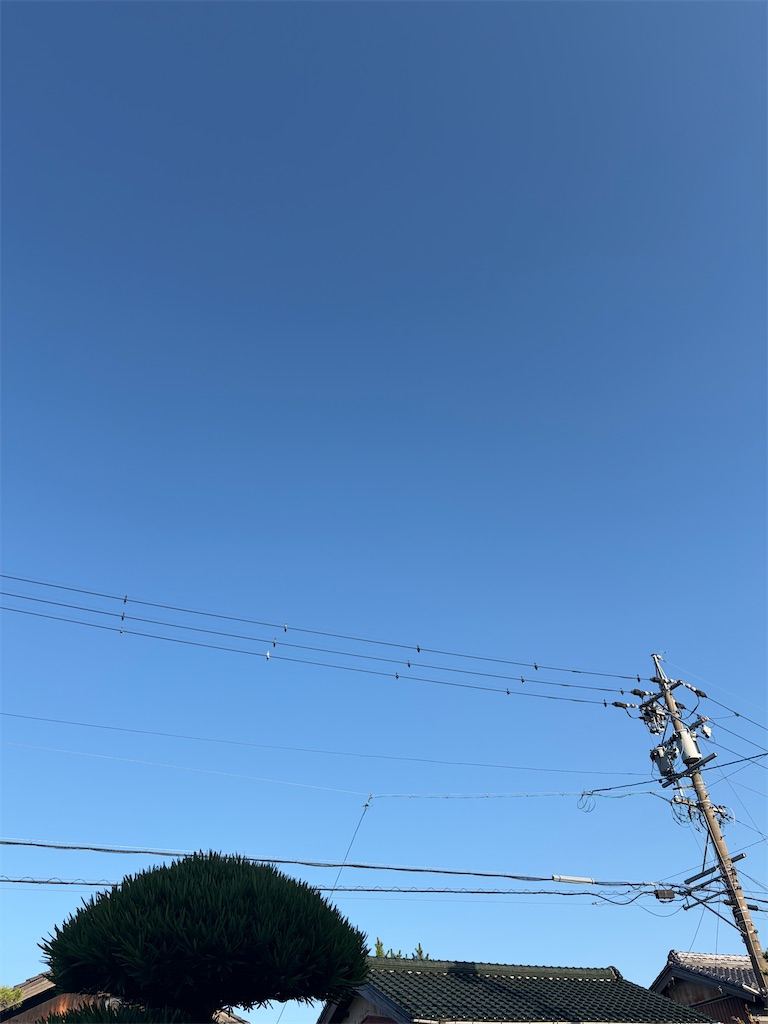 f:id:SHIMOTAYA:20260709175753j:image