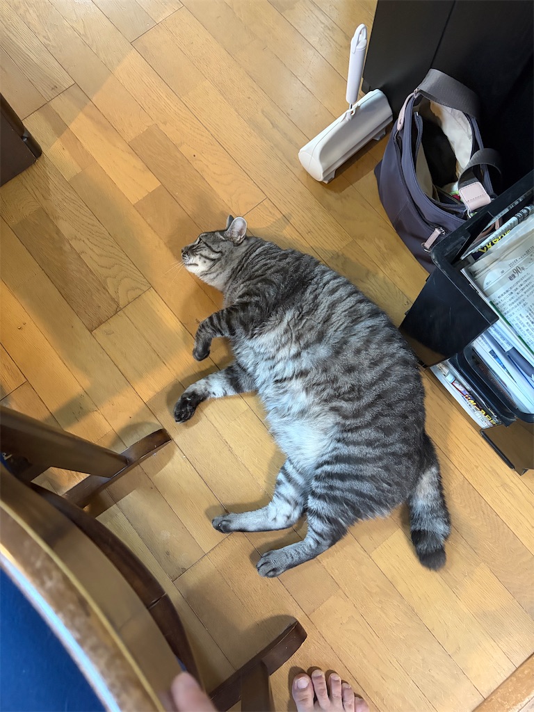 f:id:SHIMOTAYA:20260818205526j:image
