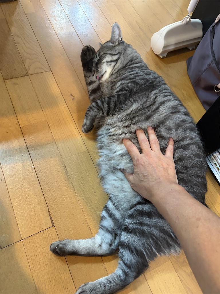 f:id:SHIMOTAYA:20260818205713j:image