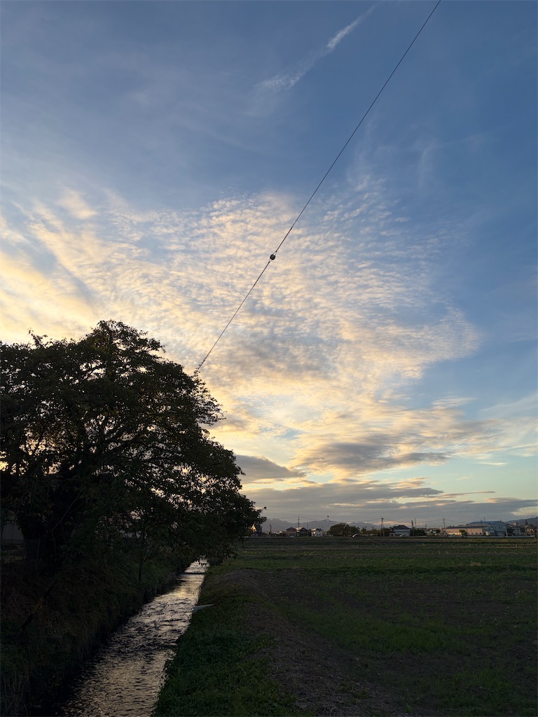 f:id:SHIMOTAYA:20260818211032j:image