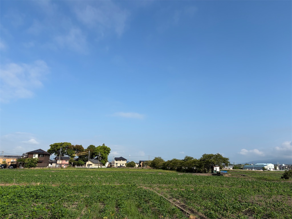 f:id:SHIMOTAYA:20260825215100j:image f:id:SHIMOTAYA:20260825215100j:image