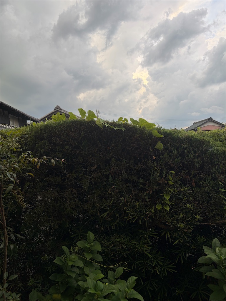f:id:SHIMOTAYA:20260826212503j:image f:id:SHIMOTAYA:20260826212503j:image
