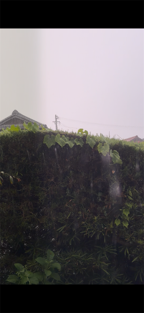 f:id:SHIMOTAYA:20260826215109p:image f:id:SHIMOTAYA:20260826215109p:image