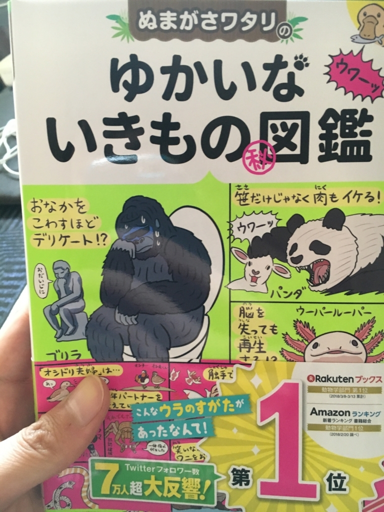 いけ ピカチュウ 運ゲーだ あぁん ブログか あぁん