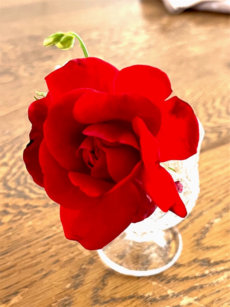 f:id:SHINOBUmam:20220621164750j:image