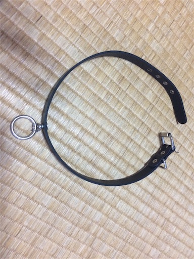 f:id:SHISHAMON:20171003160541j:image