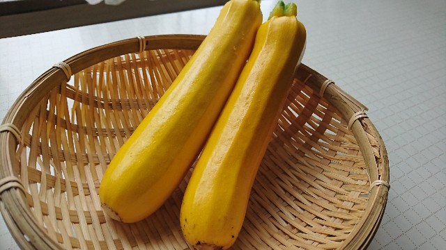 f:id:SHO0411:20190714150751j:image f:id:SHO0411:20190714150751j:image