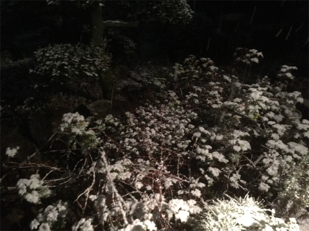 f:id:SHOKKUN:20160124135757j:image f:id:SHOKKUN:20160124135757j:image
