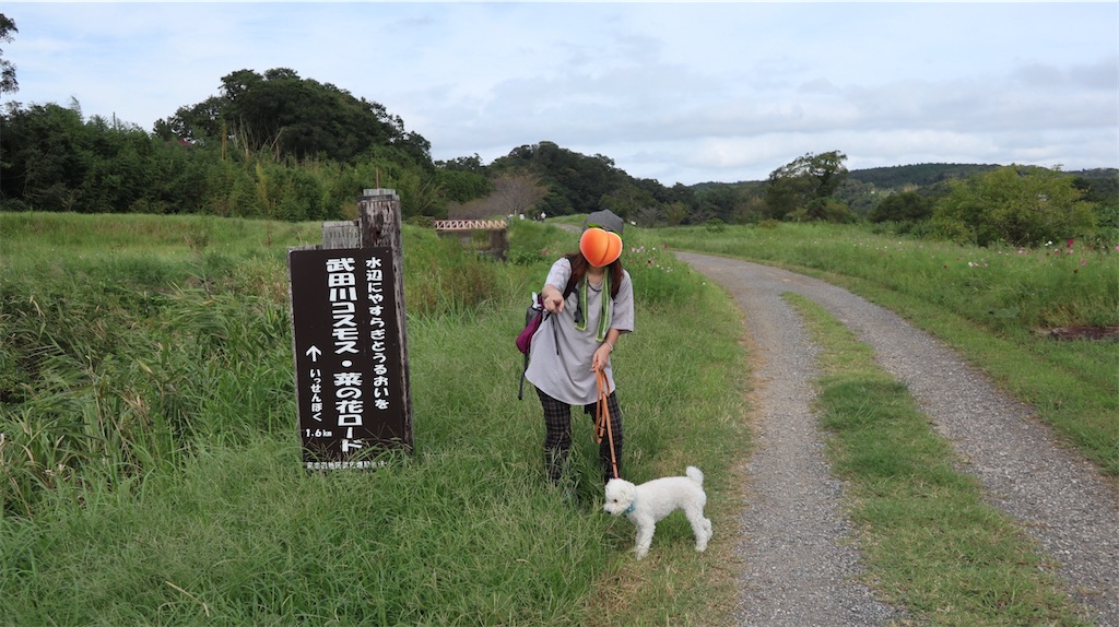 f:id:SHOUTAGO:20211018203301j:image