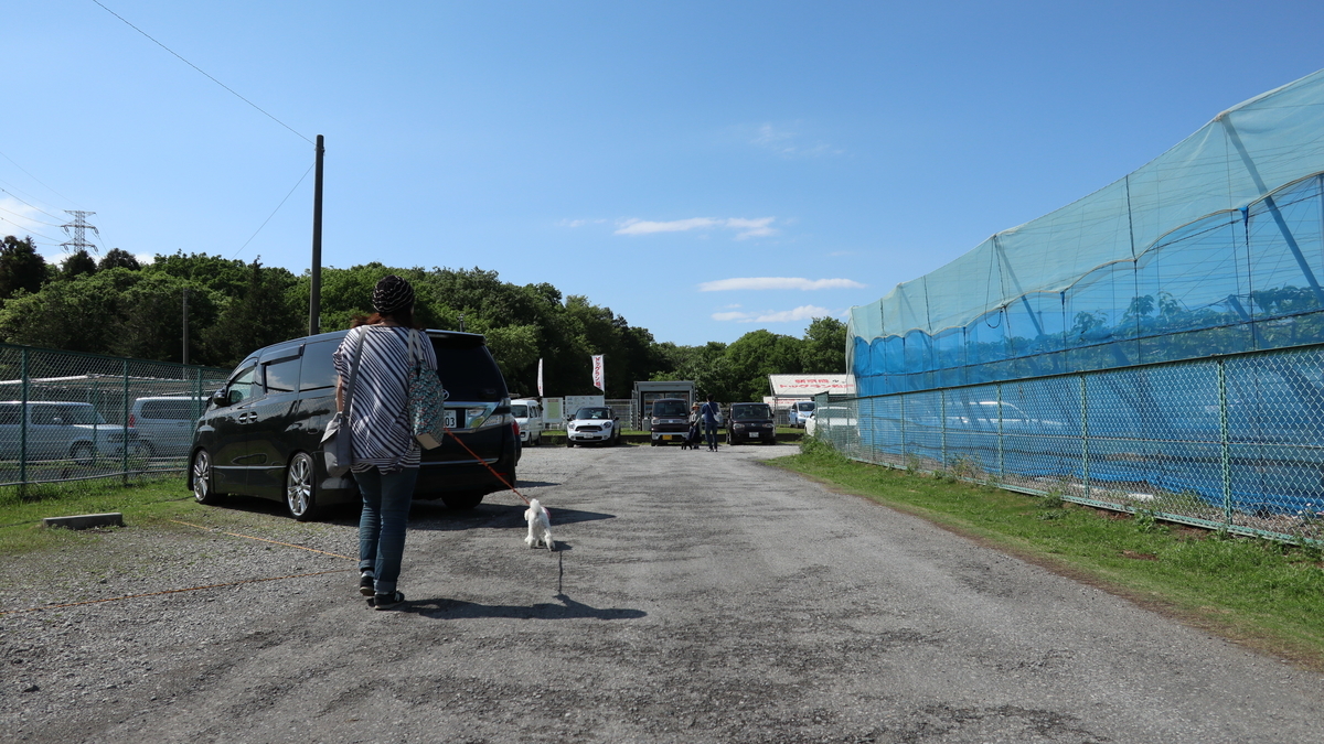 犬と行く 自称 日本最大級のドッグラン 新京成ドッグラン松戸 お休みの日は犬とお出かけ