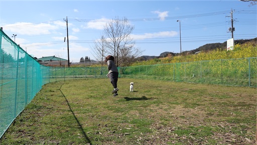 f:id:SHOUTAGO:20211031145016j:image