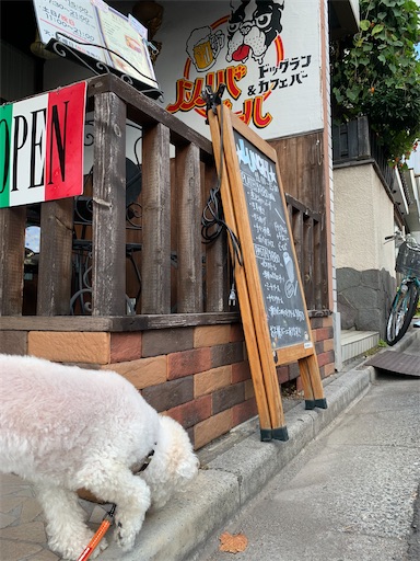 犬と行くドッグラン付きカフェバー ノンノバドール お休みの日は犬とお出かけ