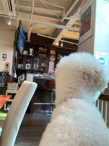 犬と行くドッグラン付きカフェバー ノンノバドール お休みの日は犬とお出かけ