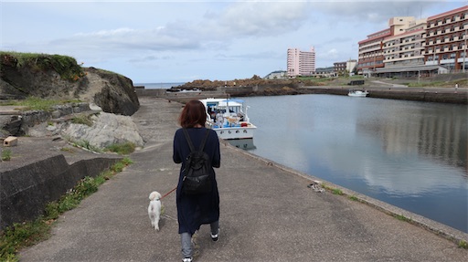 f:id:SHOUTAGO:20211109215301j:image