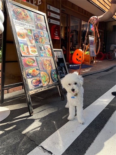 犬とカフェする浅草のドッグカフェ Dog Dept Cafe お休みの日は犬とお出かけ