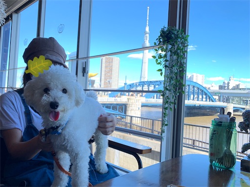 犬とカフェする浅草のドッグカフェ Dog Dept Cafe お休みの日は犬とお出かけ