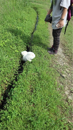 f:id:SHOUTAGO:20211127211512j:image