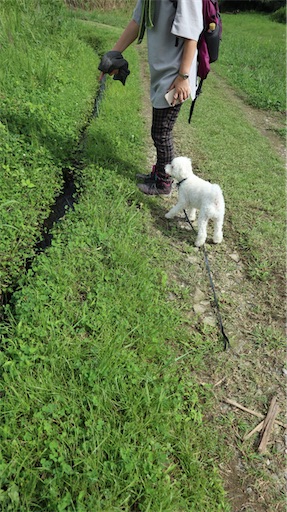 f:id:SHOUTAGO:20211127211515j:image
