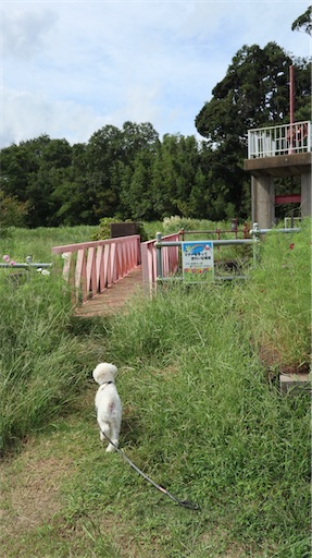 f:id:SHOUTAGO:20211127212412j:image