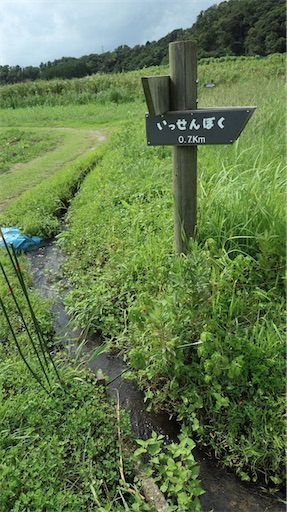 f:id:SHOUTAGO:20211127212740j:image