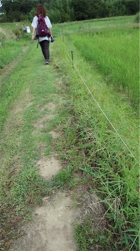 f:id:SHOUTAGO:20211127213408j:image