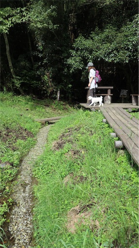 f:id:SHOUTAGO:20211128141146j:image