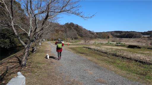 f:id:SHOUTAGO:20211128141229j:image