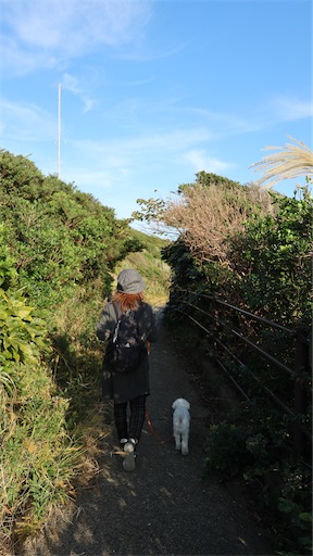 f:id:SHOUTAGO:20211207002414j:image