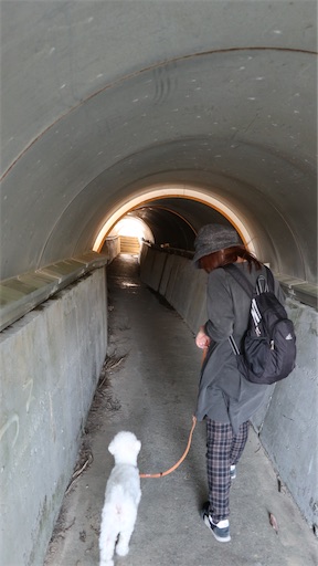 f:id:SHOUTAGO:20211207002429j:image