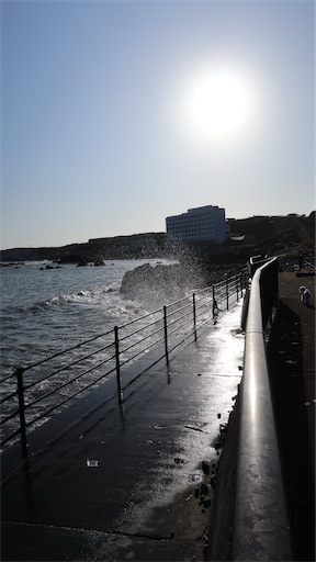 f:id:SHOUTAGO:20211207002518j:image