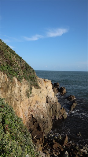 f:id:SHOUTAGO:20211207002535j:image