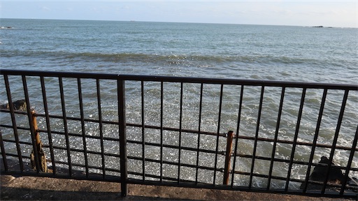 f:id:SHOUTAGO:20211207002547j:image