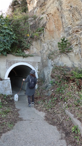 f:id:SHOUTAGO:20211207002553j:image