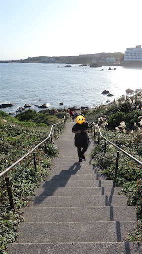 f:id:SHOUTAGO:20211214003403j:image