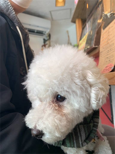 f:id:SHOUTAGO:20220325174251j:image f:id:SHOUTAGO:20220325174251j:image