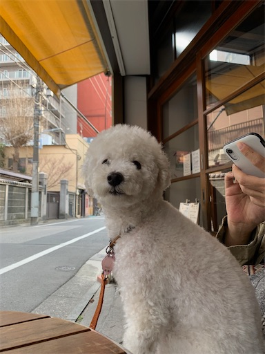 f:id:SHOUTAGO:20220325174734j:image f:id:SHOUTAGO:20220325174734j:image