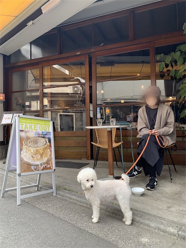 f:id:SHOUTAGO:20220325174841j:image f:id:SHOUTAGO:20220325174841j:image