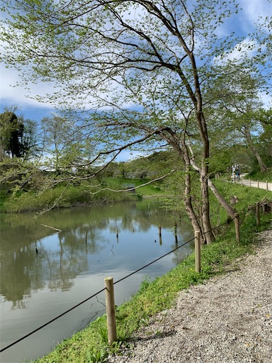 f:id:SHOUTAGO:20220417175043j:image f:id:SHOUTAGO:20220417175043j:image