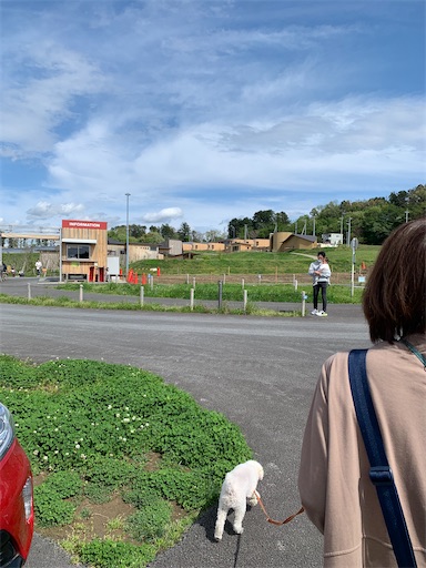 f:id:SHOUTAGO:20220417175119j:image f:id:SHOUTAGO:20220417175119j:image