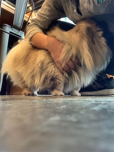 f:id:SHOUTAGO:20220510212934j:image f:id:SHOUTAGO:20220510212934j:image
