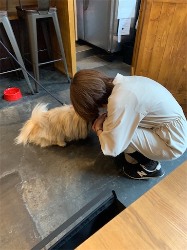 f:id:SHOUTAGO:20220510213011j:image f:id:SHOUTAGO:20220510213011j:image